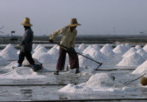 Workers on salt farm.