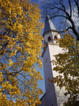 White painted church tower framed by trees with yellow Autumn leaves.