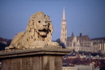 Stone statue of lion on Chain Bridge with Matyas Church in distance behind.Eastern Europe  Eastern Europe