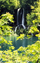 Lakes  waterfall into Velika Jezero Big lake . Part of the formation known as the upper lakes which filter down into Lake Kozjak  the largest of the Plitvice lakesCroatian National parks