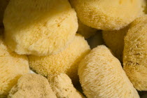 French Market. Detail of natural sponges on market stallGreat Britain United Kingdom UK