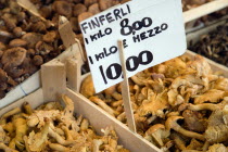 Finferli or Chanterelle mushrooms for sale in the Rialto Market