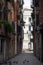 View down a narrow street to the Grand Canal in the San Polo and Santa Croce district