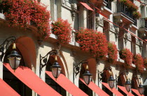 Red geraniums cascading over the balconies of the five star Plaza Athene hotel in the heart of the haute couture fashion district in Avenue MontaigneEuropean French Western Europe