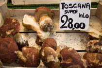 Toscana Portabello mushrooms for sale in the vegetable market in the San Polo and Santa Croce district beside the Rialto Bridge on the Grand Canal