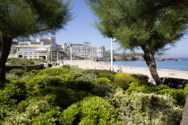 The Basque seaside resort on the Atlantic coast. The Grande Plage beach seen through tamarisk trees in the seafront gardens.