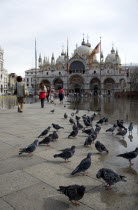 Aqua Alta High Water flooding in St Marks Square with pigeons and pedestrians on a dry central area of the flooded piazza