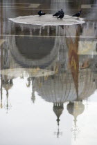 Aqua Alta High Water flooding in St Marks Square with pigeons on a dry piece of the piazza with a reflection of St Marks Basilica beyond