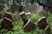 Densely packed gravestones in the Old Jewish Cemetary