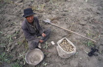 View looking down on a potato farmer sorting potatoes in a field