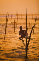 A lone stilt fisherman at sunset near Weligama.travelSri LankaAsiaAsian Llankai Sri Lankan