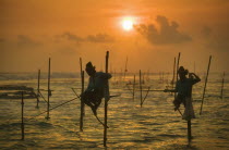 Stilt fishermen at sunset near Weligama.AsiaSri LankatravelAsian Llankai Sri Lankan