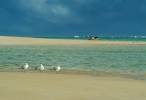 Lefroy Bay with Indian Ocean and Ningaloo reef behind.Antipodean Aussie Australian Oceania Oz