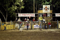 Darwin Rodeo - the rider and bull fight to the finish - 8 seconds.Sport  Animal  Festival Antipodean Aussie Australian Oceania Oz