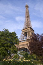 Angled view looking up at The Eiffel Tower with flower beds in the foregroundEuropean French Western Europe