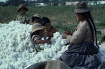 Woman and children with harvested cotton bols.American Kids Peruvian South America Hispanic Latin America Latino American Kids Peruvian South America Hispanic Latin America Latino