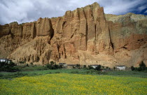 Summer landscape with valley field filled with yellow flowers in foreground  white adobe buildings behind and backdrop of orange eroded cliffs.Asia Asian Nepalese Scenic