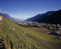 Elevated view east along Rhone Valley above Vineyards and townEuropean Schweiz Suisse Svizzera Swiss Western Europe Wallis Polynesia Scenic Valais Many Islands Pacific Islands Polynesian Farming Agra...