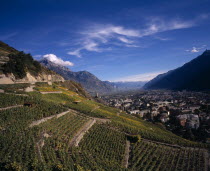 Elevated view east along Rhone Valley above Vinyards and Town of Martigny.European Schweiz Suisse Svizzera Swiss Western Europe Wallis Polynesia Scenic Valais Many Islands Pacific Islands Polynesian...