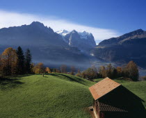 Hasliberg farmland north of Meringen. Farm building and cattle grazing on lush green grass with snow capped Wetterhorn Mountain 3704metres   12130ft   in the background.European Schweiz Suisse Svizze...