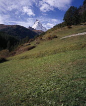 Upper Mattertal. Green grass slopes with snow capped Matterhorn Mountain 4478metres  14665ft   seen in the distanceEuropean Schweiz Suisse Svizzera Swiss Western Europe Wallis Polynesia Scenic Valais...