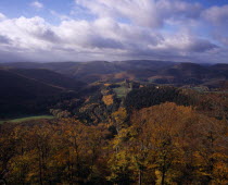 Elevated view south from Lowenstein Castle Ruins towards forest area with trees in autumn colours. Close to border with Germany. Deutschland European French Western Europe Scenic