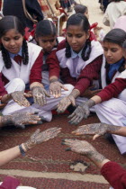 Schoolgirls displaying henna designs on their hands in the Mehndi competition at the Shekhawati FestivalAsia Asian Nepalese Bharat Inde Indian Intiya Male Men Guy Male Man Guy Religion Religious Kids...