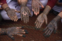 Detail of a group of hands with various henna designs in the Mehndi competition at the Shekhawati FestivalAsia Asian Nepalese Bharat Inde Indian Intiya Male Men Guy Male Man Guy Religion Religious Ki...