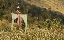 Home made scarecrow in a field of yellow mustard cropAsia Asian Nepalese Religious Scenic Religion Farming Agraian Agricultural Growing Husbandry  Land Producing Raising