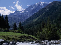 Landscape with Mount Ortler  3905 m  in background  densely wooded valley sides and rocky  fast flowing stream in foreground.European Italia Italian Scenic Southern Europe