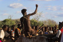 Hama Jumping of the Bulls initiation ceremony  the naked initiate runs over the backs of bulls  sometimes cows are used  - if he does so without slipping he is officially an adult