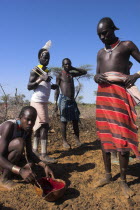 Dombo village  Hamer man stirring cows bood ready for drinking