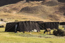 Aimaq nomad camp   The Aimaq are semi nomadic people who move out of their mud house villages after spring and live in yurts to tend their flocks before moving back to their houses in winter