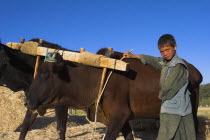 Boys threshing with oxen