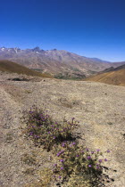 Between Kabul and Bamiyan  the southern route   Hajigak pass  12 140ft  3700m