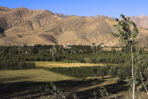 Between Kabul and Bamiyan  the southern route   Fields near Sar-e-Cheshma  Sarcheshma