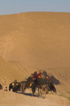 Kuchie camel train between Chakhcharan and Jam