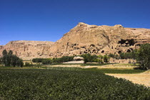 General view over crop field with mountains behind.