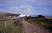 The Seven Sisters white chalk cliffs viewed from a path at Seaford Head