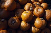 Pumpkins on sale for Halloween