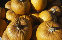 Pumpkins on sale for Halloween