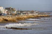 Timber washed up on the beach from the Greek registered Ice Princess which sank off the Dorset coast on 15th January 2008. Wood sits above the high water mark beyond the groynes in front of seafront b...