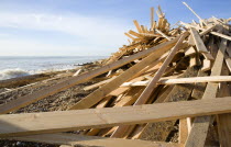 Timber washed up on the beach from the Greek registered Ice Princess which sank off the Dorset coast on 15th January 2008