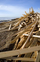 Timber washed up on the beach from the Greek registered Ice Princess which sank off the Dorset coast on 15th January 2008