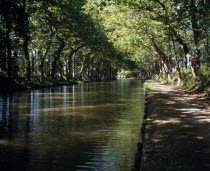 Canal du Midi.  Late summer sunshine filtering through plane trees lining the Canal du Midi and high-lighting the surface ripples.