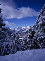 View west from Col de Montgenevre over snow covered trees towards Ecrin National Peak and mountain peaks.  View part framed by trees in foreground.