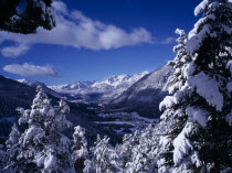 View west from Col de Montgenevre over snow covered trees towards Ecrin National Peak and mountain peaks.  Part framed by snow covered branches in foreground.