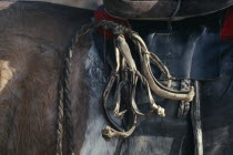 Close cropped view of hobbles tied to saddle of pony.