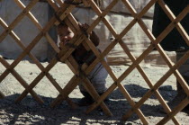 Toddler looking out through lattice framework of yurt.