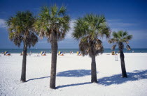 White sandy beach with palm trees in the foreground